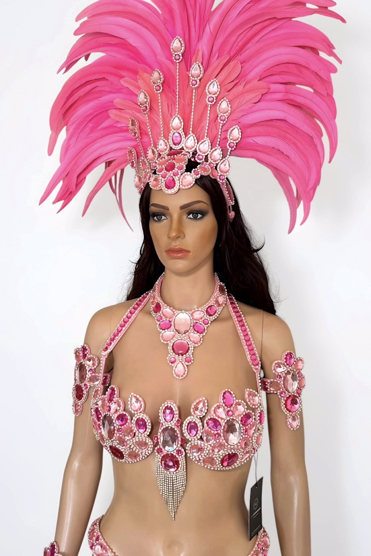Encantada - Pink & Silver Samba Costume