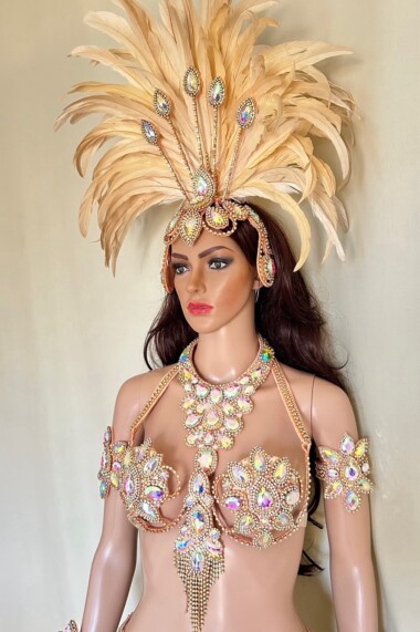 Majestic Shine II Samba Costume by Miss Glamurosa Costumes